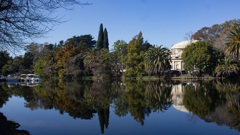 Susto en el Bosque de La Plata Susto en el Bosque de La Plata