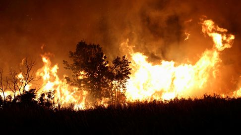 Desde las redes sociales, vecinos de La Plata piden ayuda para parar la grave situación generada por los incendios Desde las redes sociales, vecinos de La Plata piden ayuda para parar la grave situación generada por los incendios