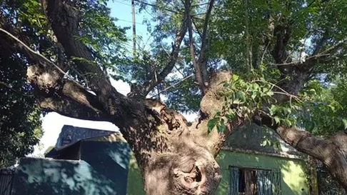 tension en arturo segui: chispazos y reclamos a edelap tension en arturo segui: chispazos y reclamos a edelap