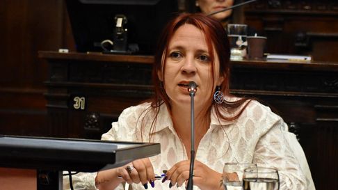 Durante la sesión de Diputados, la legisladora Pérez explicó que ambas expropiaciones son parte de un proceso iniciado en 2015 para regularizar la trama vial del distrito. Durante la sesión de Diputados, la legisladora Pérez explicó que ambas expropiaciones son parte de un proceso iniciado en 2015 para regularizar la trama vial del distrito.