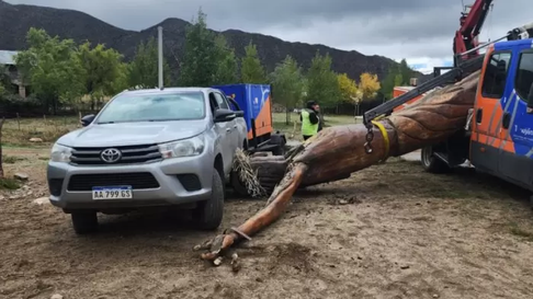 La gigantesca figura de madera que caracteriza a El Manzano Histórico terminó cayendo sobre un camión estacionado en el lugar. La gigantesca figura de madera que caracteriza a El Manzano Histórico terminó cayendo sobre un camión estacionado en el lugar.