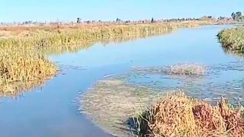 Una laguna de aguas servidas en los Corralitos, Guaymallén. Una laguna de aguas servidas en los Corralitos, Guaymallén.