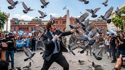 La desregulación de la colombofilia generó las críticas del sector hacia Javier Milei La desregulación de la colombofilia generó las críticas del sector hacia Javier Milei