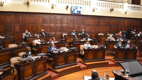 Los diputados aprobaron esta semana el proyecto de arbolado público. Los diputados aprobaron esta semana el proyecto de arbolado público.