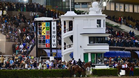 El Hipódromo de La Plata brindará una serie de actividades gratuitas El Hipódromo de La Plata brindará una serie de actividades gratuitas