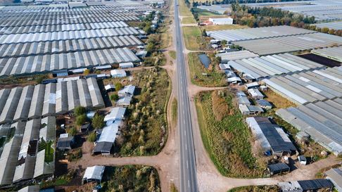El Cinturón Hortícola Platense (CHP). El Cinturón Hortícola Platense (CHP).