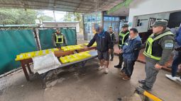 El importante cargamento de paquetes con cocaína hallado en Salta El importante cargamento de paquetes con cocaína hallado en Salta