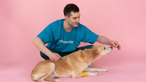 este sabado, adopta un amigo en el parque benegas este sabado, adopta un amigo en el parque benegas