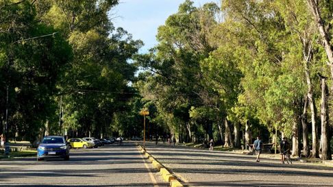 identificaron al joven que encontraron sin vida en el paseo del bosque identificaron al joven que encontraron sin vida en el paseo del bosque
