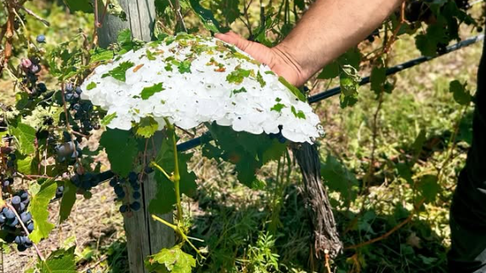 Las tormentas y el granizo no le han dado tregua a Mendoza Las tormentas y el granizo no le han dado tregua a Mendoza