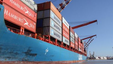 El boom de los importados no pega fuerte en La Plata El boom de los importados no pega fuerte en La Plata