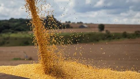 diputados llaman a analizar el decreto de las retenciones cero diputados llaman a analizar el decreto de las retenciones cero