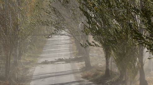 Las alergias respiratorias son respuestas exageradas del sistema inmunitario a sustancias inofensivas, conocidas como alérgenos. Las alergias respiratorias son respuestas exageradas del sistema inmunitario a sustancias inofensivas, conocidas como alérgenos.