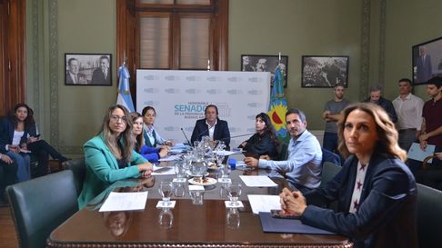 avanza en el senado la re-reeleccion para todos, menos para intendentes avanza en el senado la re-reeleccion para todos, menos para intendentes