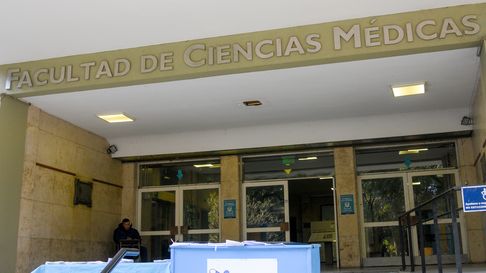 en una facultad de la unlp hay excremento de murcielagos y roedores en las aulas en una facultad de la unlp hay excremento de murcielagos y roedores en las aulas