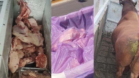 Bromatología decomisó alimentos en mal estado que estaban a la venta en Guaymallén. Bromatología decomisó alimentos en mal estado que estaban a la venta en Guaymallén.