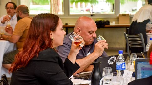 el concurso que premia los mejores destilados del pais sera en mendoza el concurso que premia los mejores destilados del pais sera en mendoza