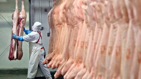 Trabajadores de la carne harán un paro este viernes Trabajadores de la carne harán un paro este viernes