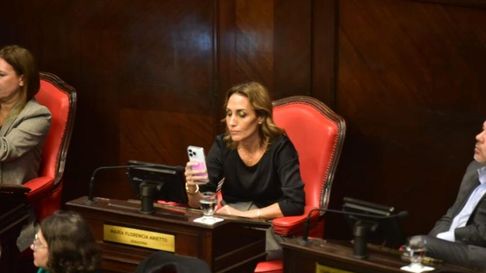 picante cruce entre un ministro de kicillof y una senadora de la libertad avanza picante cruce entre un ministro de kicillof y una senadora de la libertad avanza