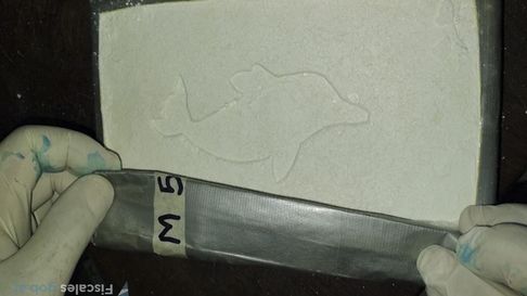 Llevan a juicio a 14 imputados por tráfico de cocaína. Llevan a juicio a 14 imputados por tráfico de cocaína.