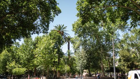 Este sábado aumentará la temperatura en Mendoza. Este sábado aumentará la temperatura en Mendoza.