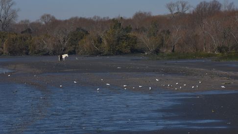 la justicia investiga a absa por un desastre ambiental la justicia investiga a absa por un desastre ambiental