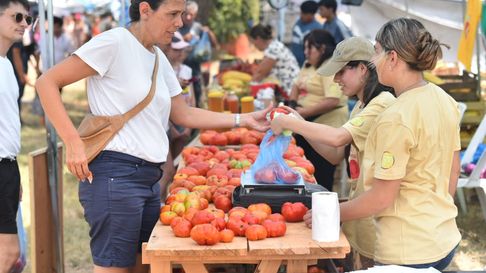 feria, recorridos y cocina en vivo: llega la fiesta del tomate platense feria, recorridos y cocina en vivo: llega la fiesta del tomate platense