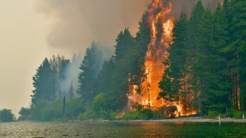 El fiscal que investiga los incendios en la Patagonia descartó que grupos mapuches sean los responsables. El fiscal que investiga los incendios en la Patagonia descartó que grupos mapuches sean los responsables.