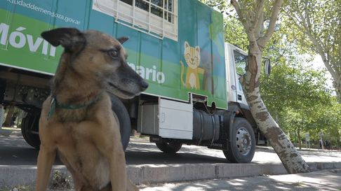 La atención se brindará en el Centro Veterinario del Barrio La Favorita. La atención se brindará en el Centro Veterinario del Barrio La Favorita.