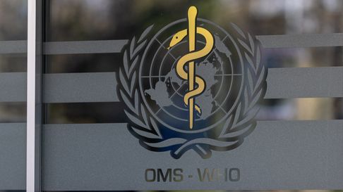 el gobierno confirmo la salida de argentina de la oms el gobierno confirmo la salida de argentina de la oms