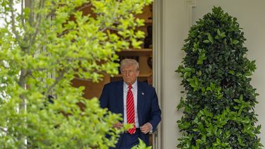 Donald Trump conversó con Vladimir Putin.
