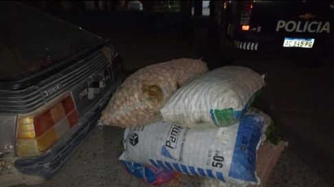 Cuatro detenidos por el robo de nueces en Tupungato Cuatro detenidos por el robo de nueces en Tupungato