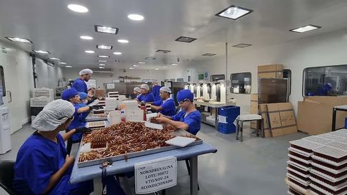 trabajadores de hlb pharma declararon que sabian que el fentanilo estaba contaminado trabajadores de hlb pharma declararon que sabian que el fentanilo estaba contaminado