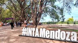 El INTA Mendoza es una de las sedes que el Gobierno Nacional pretende reducir al mínimo. El INTA Mendoza es una de las sedes que el Gobierno Nacional pretende reducir al mínimo.
