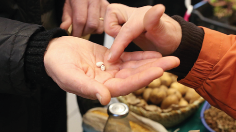 El intercambio de semillas tendrá lugar en Villa Elisa El intercambio de semillas tendrá lugar en Villa Elisa