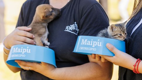 Perros y gatos fueron atendidos en el Centro Veterinario de Maipú. Perros y gatos fueron atendidos en el Centro Veterinario de Maipú.