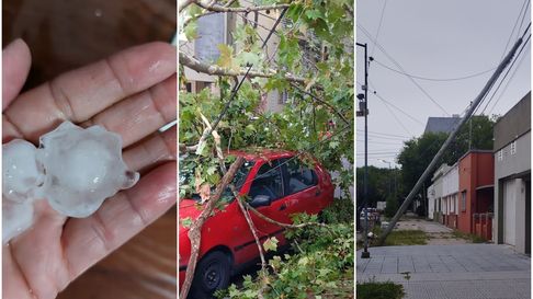 Temporal en La Plata: granizo como pelotitas de golf, postes y árboles caídos Temporal en La Plata: granizo como pelotitas de golf, postes y árboles caídos