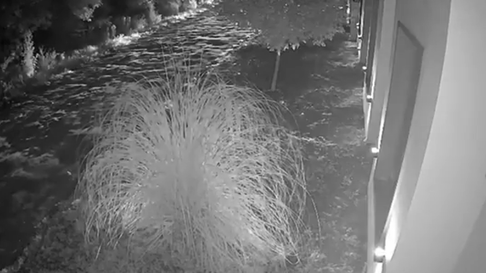 Imágenes del ataque a la casa de un joven con discapacidad Imágenes del ataque a la casa de un joven con discapacidad